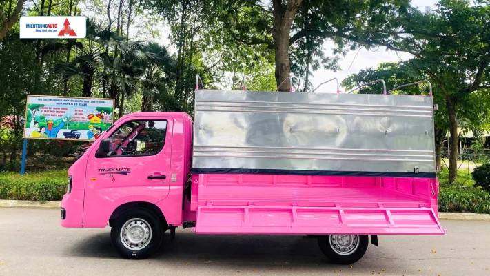 Ngoại thất nhiều màu sắc - Veam t25s màu hồng