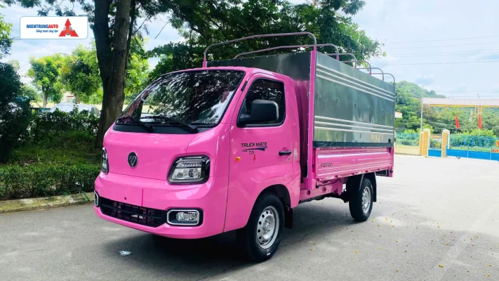 Xe tải nhẹ máy xăng Veam T25S